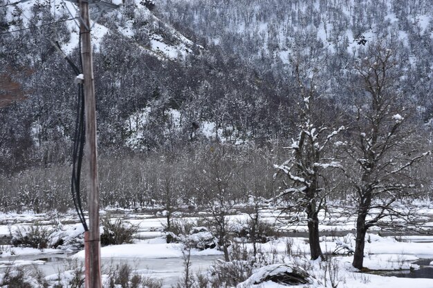 a snowy mountain side with a forest in the background