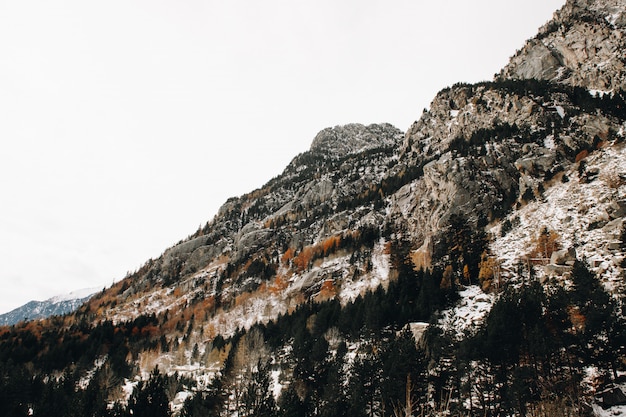 Snowy mountains landscape with orange colorful trees in a cloudy day in Aiguestortes National Park in Catalonia at winter