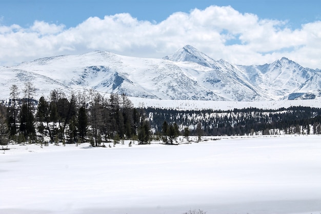 Snowy peaks of the Altai mountains