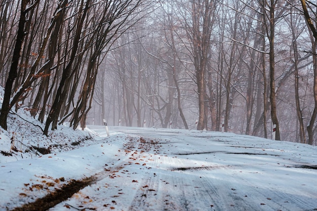 Snowy road in winter passes through the forest