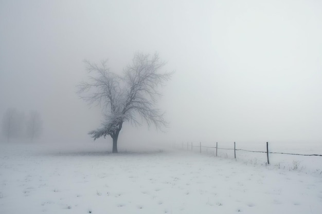 Snowy road at winter