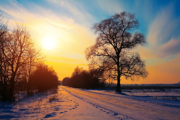 Snowy rural road at sunset