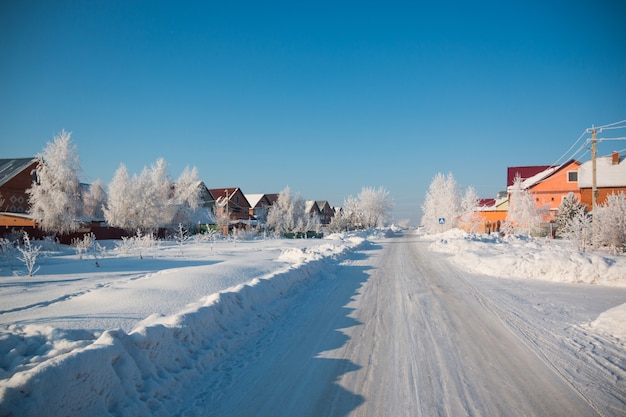 Snowy Trees in village in winter, Siberia