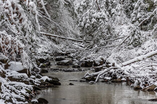 Snowy weather in the mountains