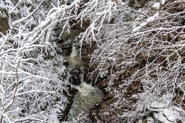 Snowy weather in the mountains