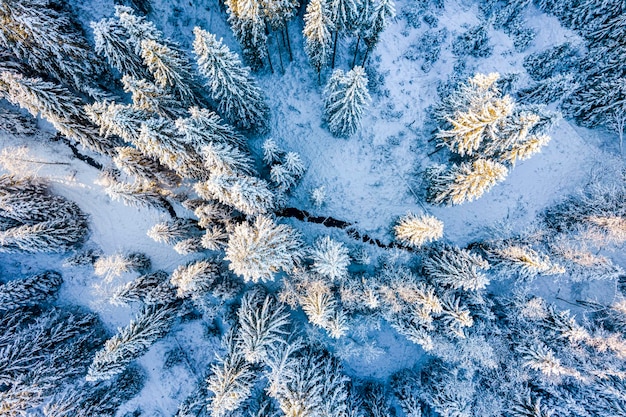 Snowy Winter Landscape Drone View