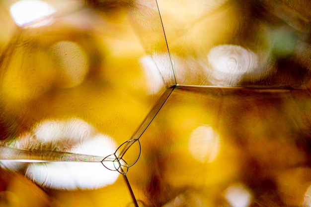 Soap bubbles soap bubbles in closeup creating abstract background selective focus