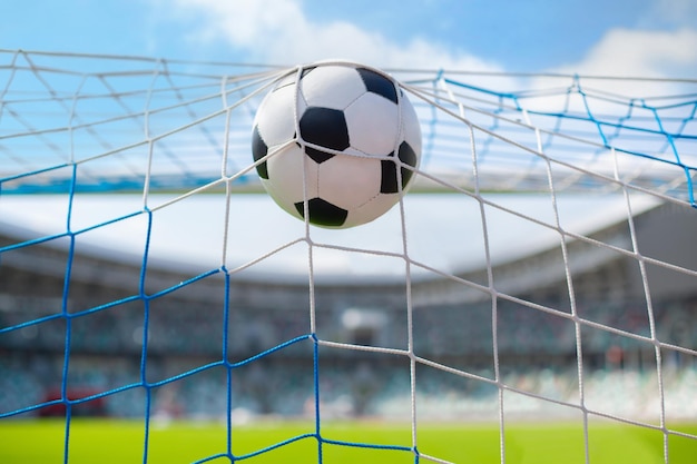 Soccer ball in goal net with green grass