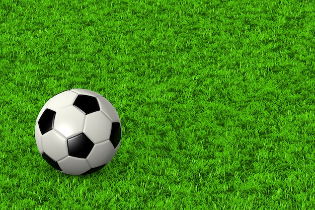 Soccer Ball on Grass Field