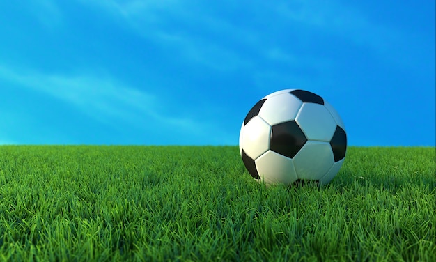 Soccer ball on green grass