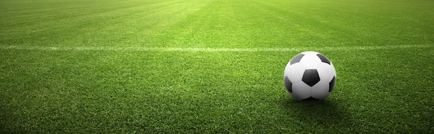 Soccer ball on green playground. Soccer concept