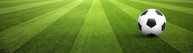 Soccer ball on green playground. Soccer concept