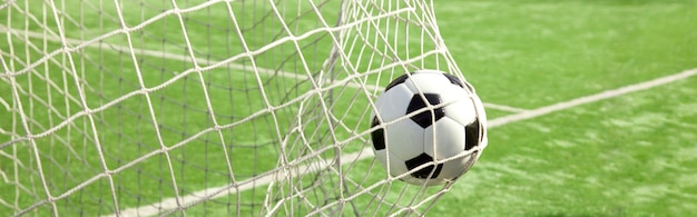 Soccer ball in the net of a goal. Soccer concept