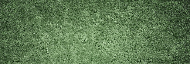 Soccer field with green grass Sport lawn background