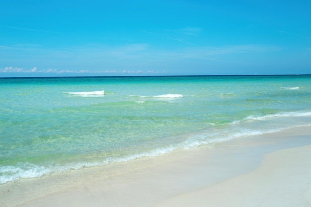 Soft blue ocean wave on clean sandy beach