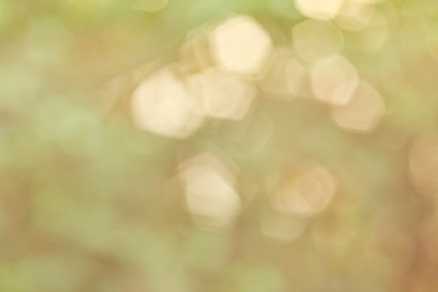 Soft blur sweet bokeh background