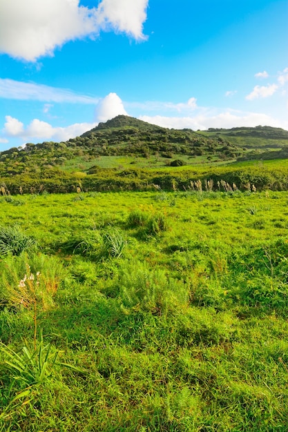 Soft clouds over a green hill in Sardinia Italy