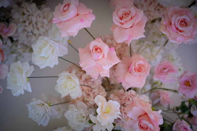 Soft color Roses Background