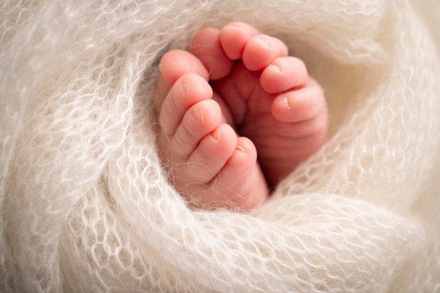 Soft feet of a newborn in a white woolen blanket Closeup of toes heels and feet of a newborn baby The tiny foot of a newborn Studio Macro photography Baby feet covered with isolated background