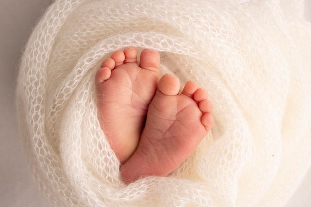 Soft feet of a newborn in a white woolen blanket Closeup of toes heels and feet of a newborn baby The tiny foot of a newborn Studio Macro photography Baby feet covered with isolated background