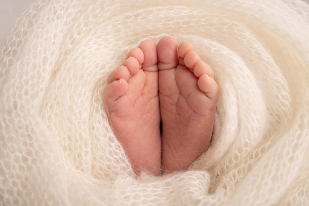 Soft feet of a newborn in a white woolen blanket Closeup of toes heels and feet of a newborn baby The tiny foot of a newborn Studio Macro photography Baby feet covered with isolated background