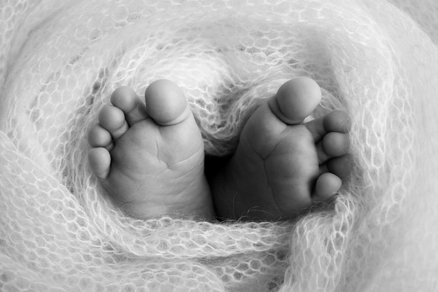 Soft feet of a newborn in a woolen blanket Closeup of toes heels and feet of a babyThe tiny foot of a newborn Baby feet covered with isolated background Black and white studio macro photography