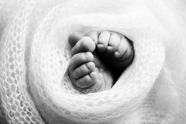 Soft feet of a newborn in a woolen blanket Closeup of toes heels and feet of a babyThe tiny foot of a newborn Baby feet covered with isolated background Black and white studio macro photography