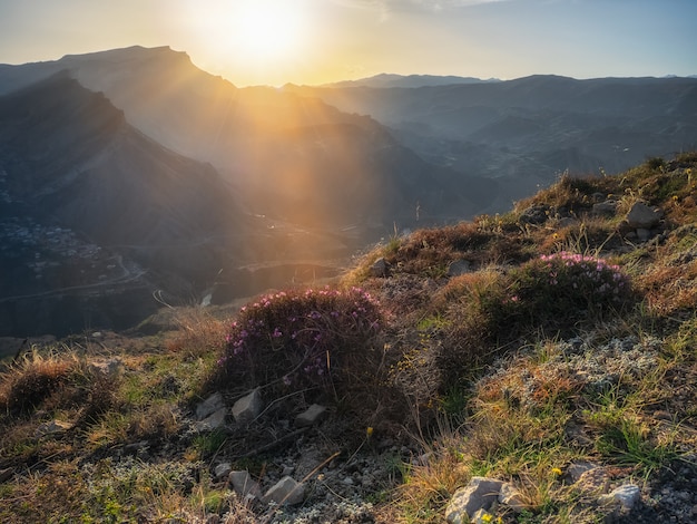 Soft focus. Evening in the mountains. Sunset rays of the sun fall on the mountain slopes covered with wild flowering bushes.