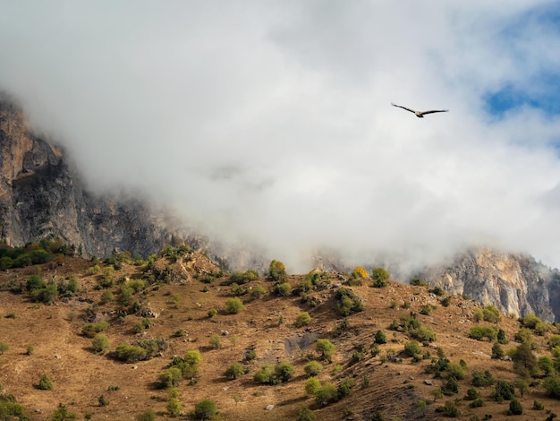 Soft focus Mountain pass in Ingushetia Wonderful scenery with great Caucasus rocks and mountains in dense low clouds Atmospheric highlands landscape with mountain tops under clouds