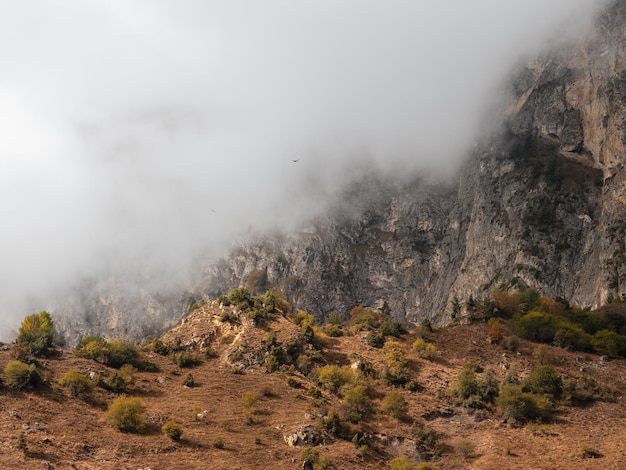 Soft focus Mountains in a dense fog and sunny slope Mystical landscape with beautiful sharp rocks in low clouds Beautiful mountain foggy scenery on abyss edge with sharp stones