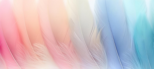 Soft pastel feathers gracefully overlap creating a tranquil and gentle texture ideal for serene backdrops or delicate design elements evoking calmness and soft touch