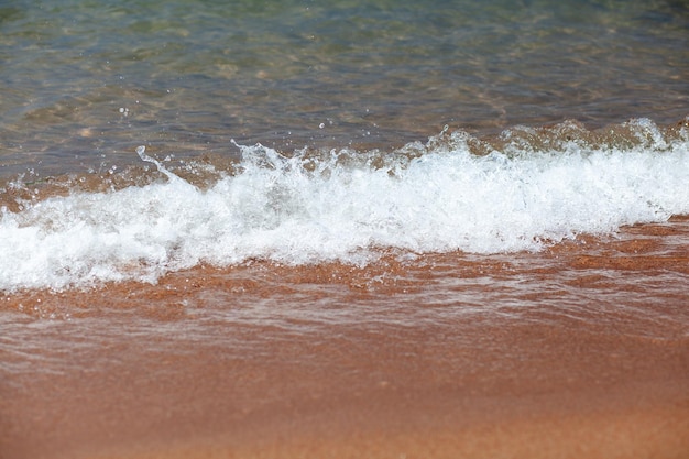 A soft wave runs on a sandy shore on a summer day. Empty space can be used as background