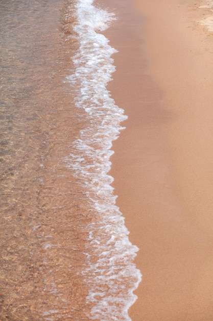 A soft wave runs on a sandy shore on a summer day. Empty space can be used as background