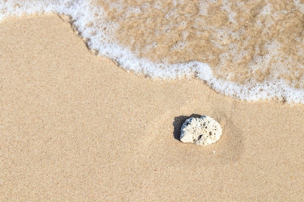 Soft Wave On Sandy Beach with  white coral