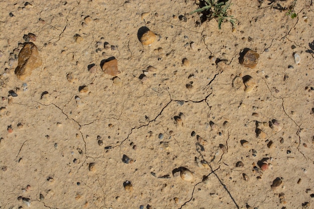 Soil clean ground texture background Dirt black earth