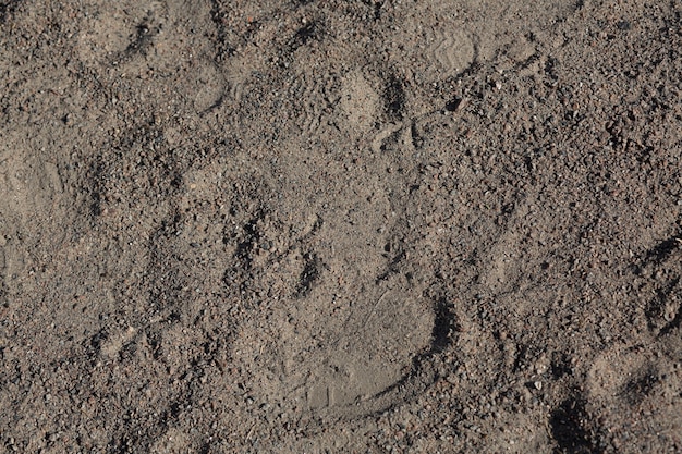 Soil and dust background. Closeup shot