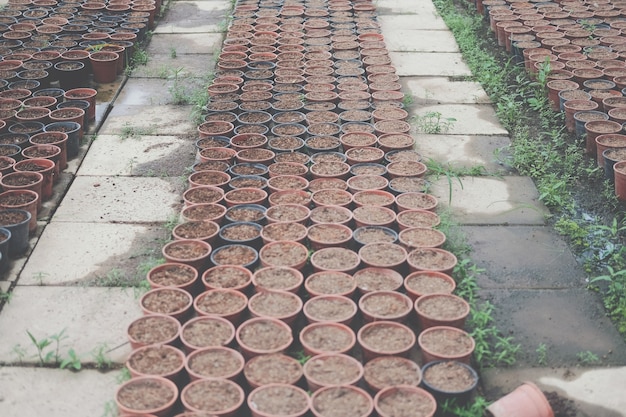 Soil & fertilizer in planting pot for growing transplanting plant seedling in farm