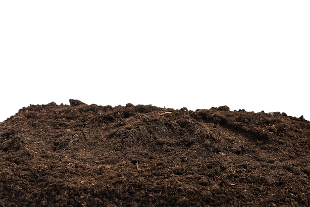 Soil for plant isolated on white background. Soil pattern.