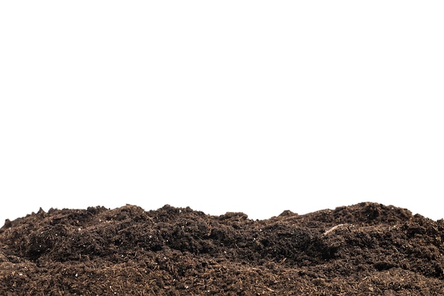 Soil for plant isolated on white background. Soil pattern.