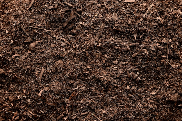 Soil texture background, Fertile loam soil suitable for planting.