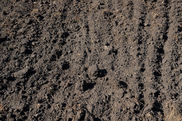 Soil texture background Fertile soil suitable for planting plants Plowed field dry ground closeup