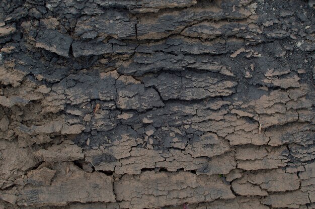 The soil was destroyed by drought, the dry, cracked earth.