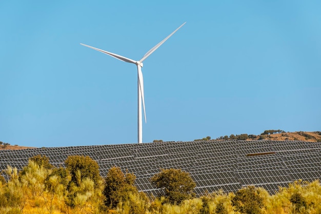 Solar energy panel photovoltaic cell and wind turbine farm power generator in nature landscape