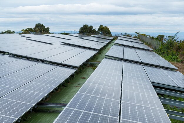 Solar panel plant