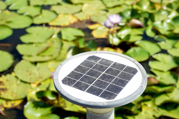 Solar panel in the pond with water lotus flower on the background