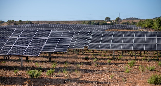 Solar panels on field against clear sky