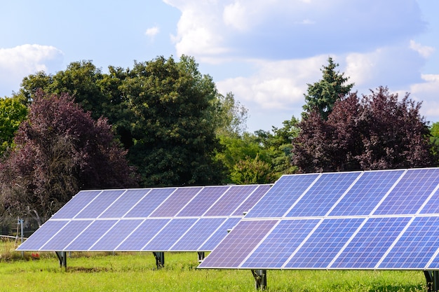 Solar panels mounted on the ground