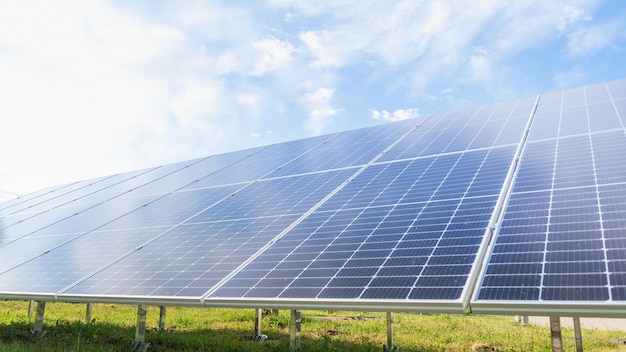 Solar panels mounted on the ground