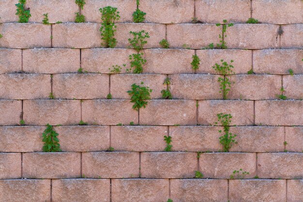 Solid concrete block embossed wall textured with plants