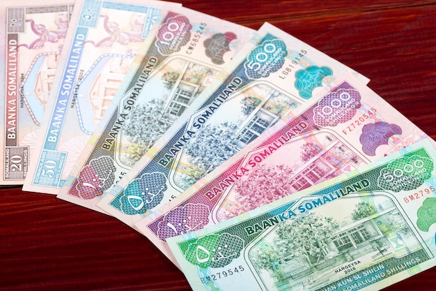 Somaliland shilling a business background